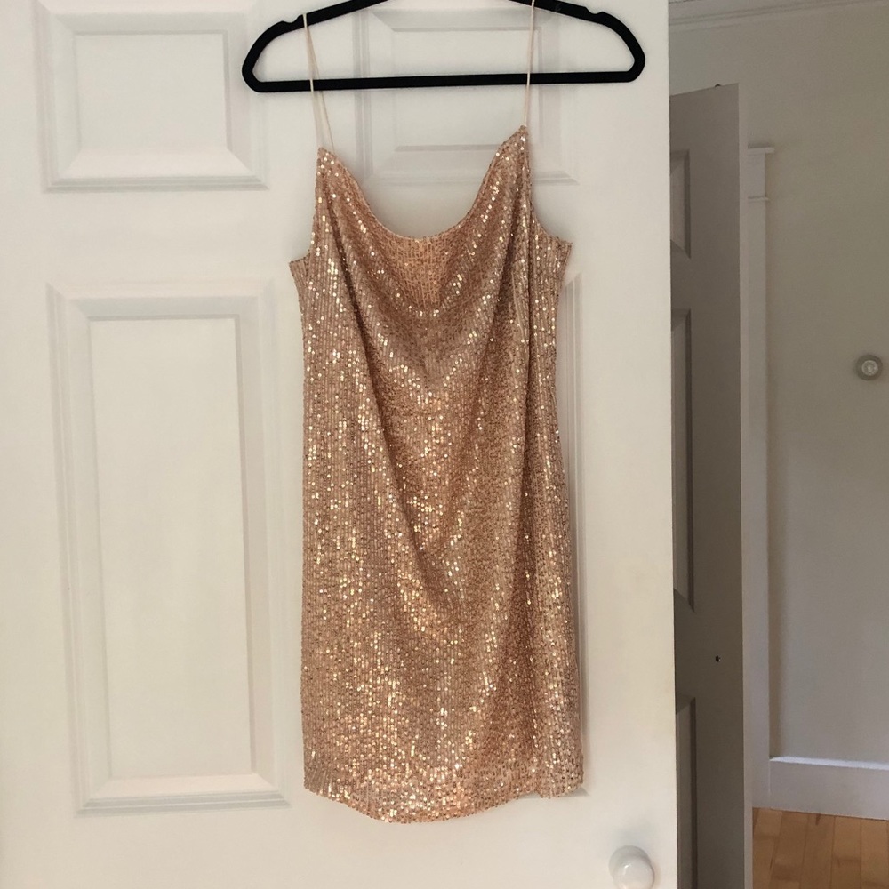 Champagne Flapper Sequin Dress 🍾